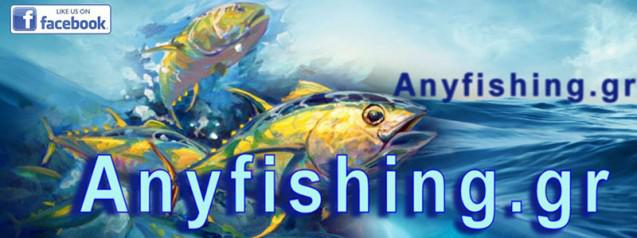 banner_anyfishing