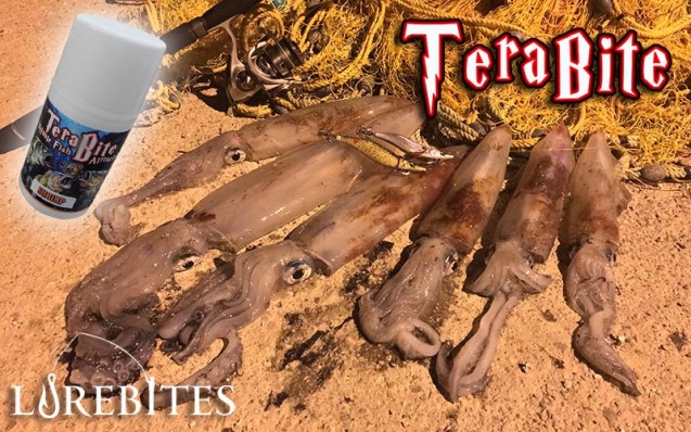terabite7