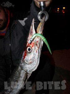 Σιλικόνες μεγάλες τύπου jerkbait και jighead σε σχήμα ψαριού.