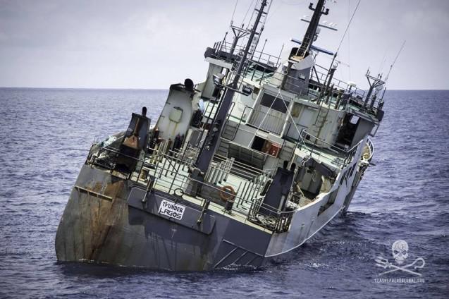 seasheperd2