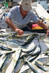 kostas5