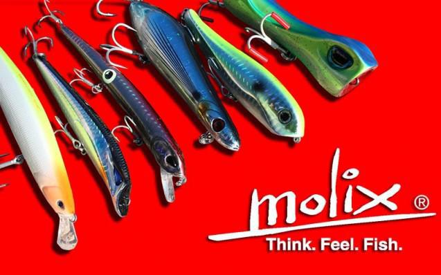 molix_proti