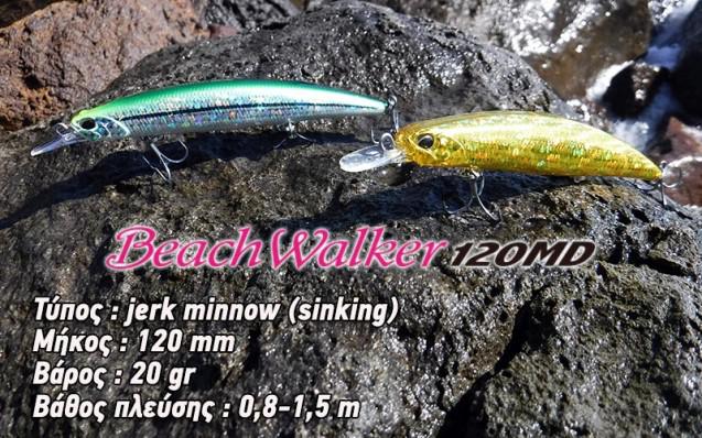 beachwalker1