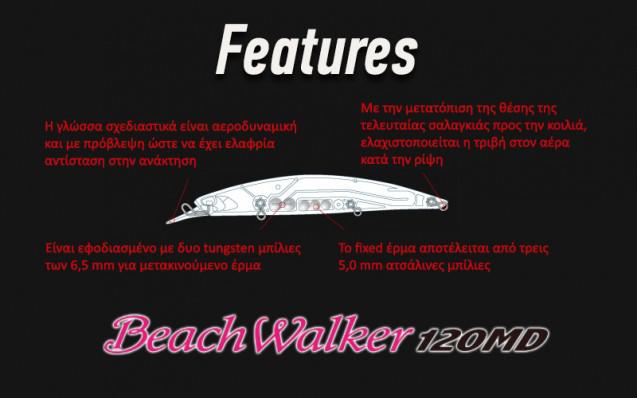 beachwalker2