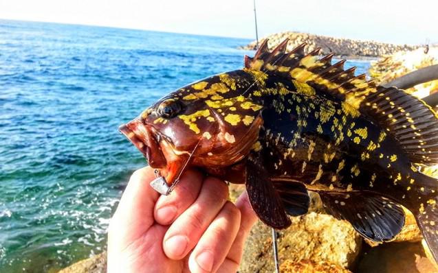 Το δικό μας μαύρο! 
