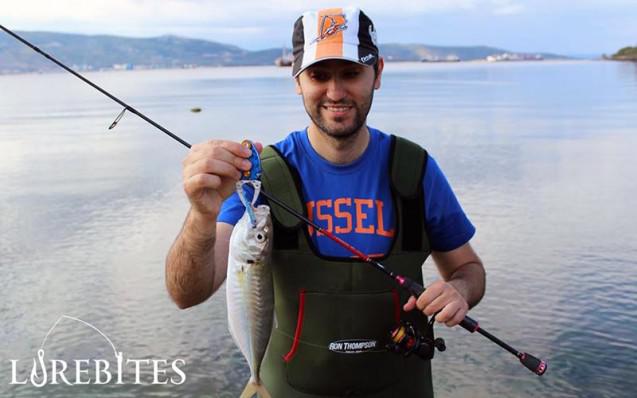 baby-buster-shad-4