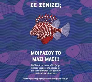 se_ksenizei