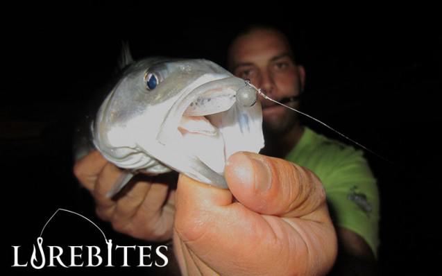 lavraki-tsimpinos-drop-shad