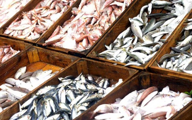 fish-market