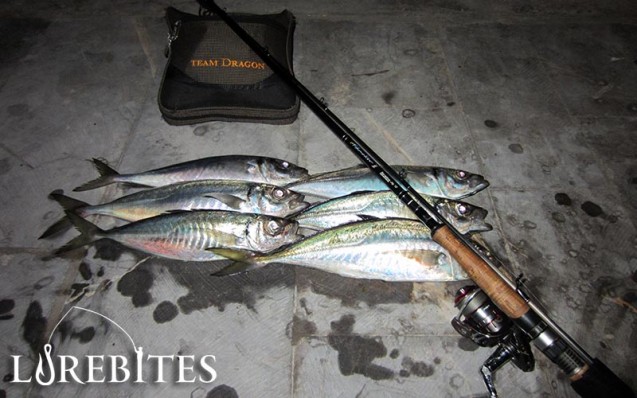 fishmakerii1