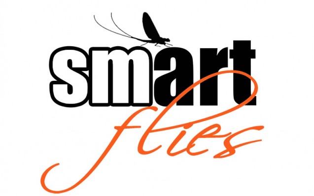 banner_smart_flies