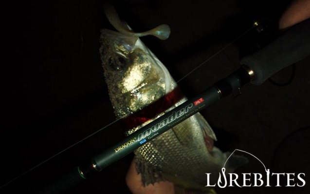 invader_jig_dragon_5