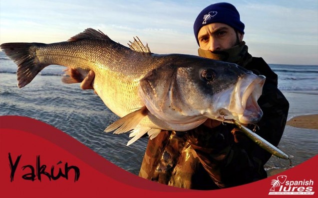 yakun2_parousiasi_spanish_lures