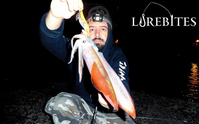 egista_tsuriken_lurebites4