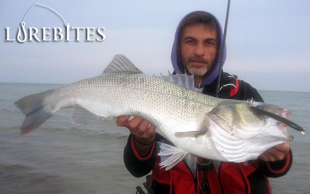 zipbaits_zbl_139f_1