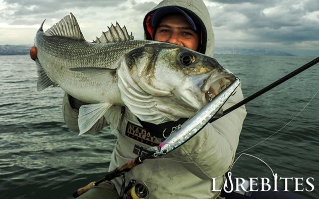 zipbaits_zbl_139f_2