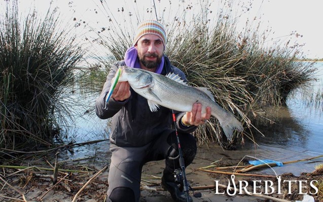 zipbaits_zbl_139f_3