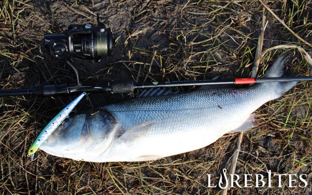 zipbaits_zbl_139f_6