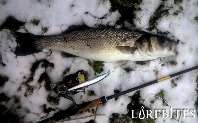 zipbaits_zbl_139f_7